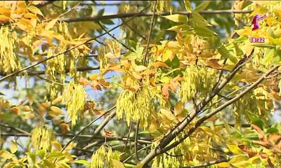 Осенняя хандра: откуда она берется и как с ней бороться