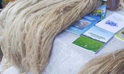 В Любимском районе появится завод по глубокой переработке льна