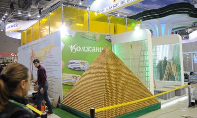 Рыбинская птицефабрика построила пирамиду из яиц и побила рекорд книги Гиннесса