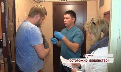 За месяц в области зафиксировано девять случаев бешенства