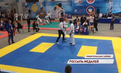 Ярославские тхэквондисты привезли 46 медалей с Кубка России