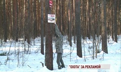 В Ярославле объявили бой рекламе не деревьях