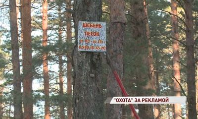 В области продолжается «охота» за любителями повреждать деревья рекламой