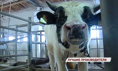 На областное племенное предприятие привезли быков из Канады