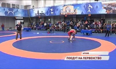 Трое ярославских борцов примут участие в первенстве России