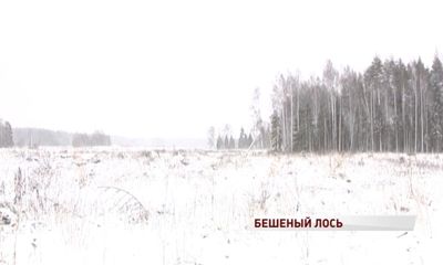 В области зафиксирован первый случай бешенства в этом году