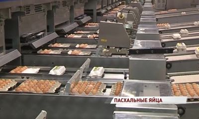 Роскачество: ни один производитель куриных яиц не заслужил Знака качества