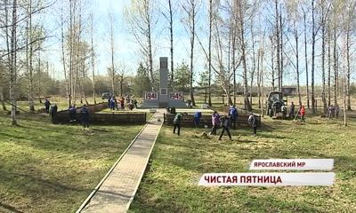 Жители Ярославской области продолжают борьбу за чистые улицы