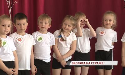 Воспитанников ярославского детского сада посвятили в эколята
