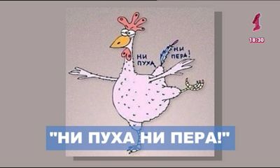 Экзамены стартовали: как справиться со стрессом и сдать ЕГЭ на 100 баллов