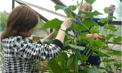 Более двух тысяч подростков трудоустроят этим летом