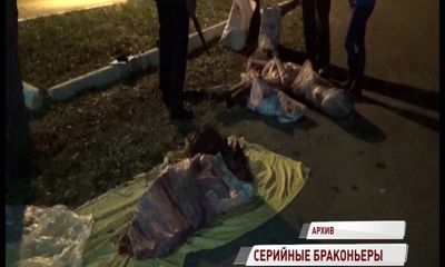 Браконьеры, убившие шесть лосей, ожидают суда