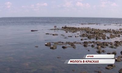 На средства президентского гранта сделают цветные фотографии затонувшего города Мологи