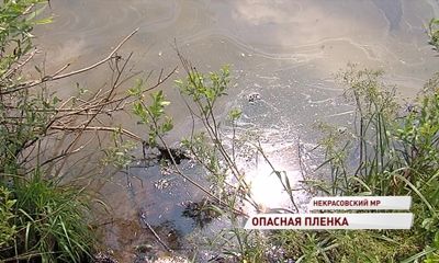 В Волге появились огромные пятна мазута: кто виноват и как ликвидируют последствия