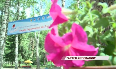 Дмитрий Миронов дал старт проекту «Артек Ярославии» в лагере имени Горького