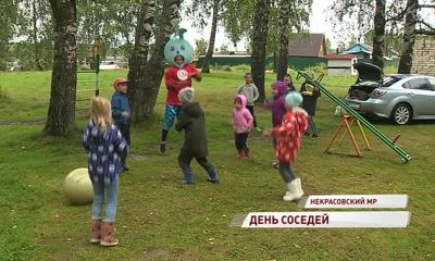 Танцы, спорт и угощения: в Некрасовском районе прошел день соседей