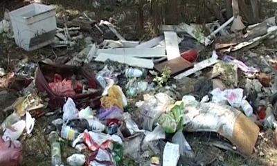 В регионе с нарушителей правил обращения с отходами взыскали полтора миллиона рублей