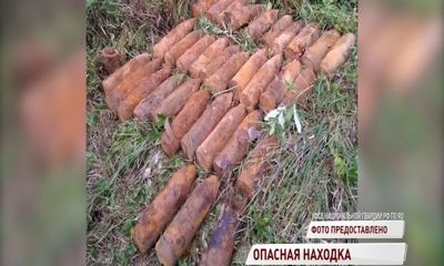 В Некоузском районе нашли россыпь снарядов времен Великой Отечественной Войны