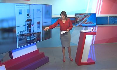 Ярославль превратился в фантастическое болото: кто живет в местных лужах