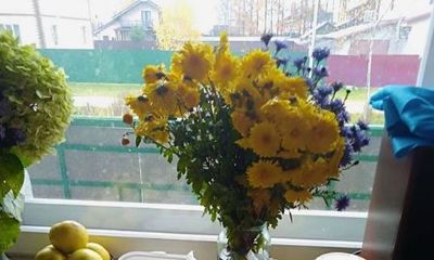 В Некрасовском районе прошла выставка лекарственных растений и урожая