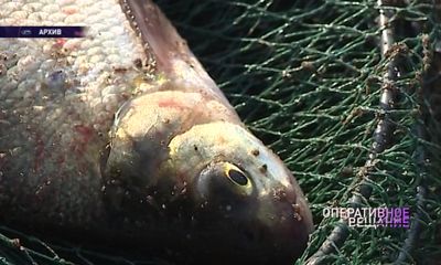 Двое рыбаков поставили сети на Рыбинском водохранилище и теперь заплатят за это миллион