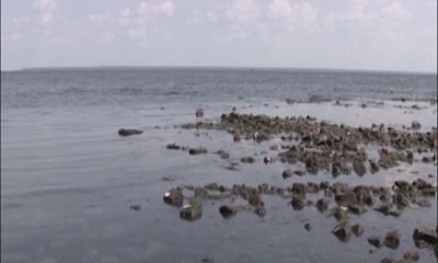 За мистикой пользователи соцсетей хотят приехать в затопленную Мологу