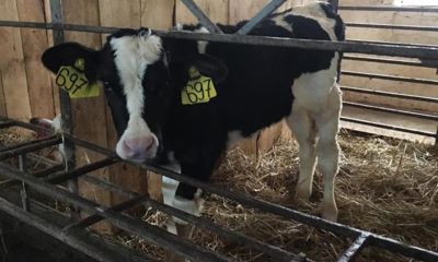 В Ярославской области 12 фермеров получили гранты