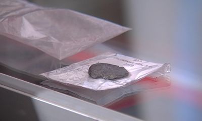 Уникальные находки, обнаруженные на стройке гостиницы, передали Ярославскому музею-заповеднику