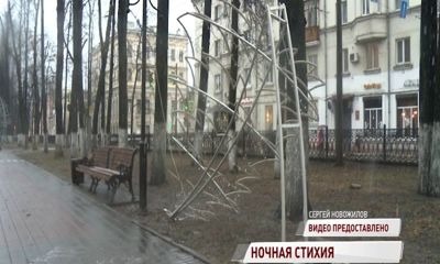 На Первомайском бульваре от ветра рухнула новогодняя елка