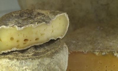 С плесенью и без, белый и желтый: в мире отмечают день любителей сыра