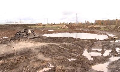 Подрядчика, который строит новый сектор на Осташинском кладбище, ждут штрафы