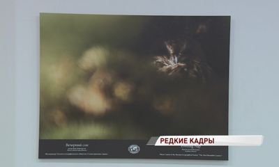 В КЗЦ «Миллениум» открылась выставка «Самая красивая страна»