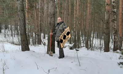 Штраф 300 тысяч: в Ярославле начали снимать рекламные вывески с деревьев