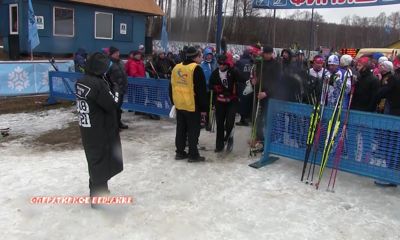 В Подолино наградили первых победителей чемпионатов МВД по служебному двоеборью и лыжным гонкам