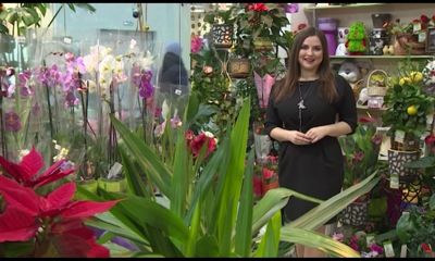 Как пожарить вкусный шашлык, выбрать самые свежие продукты, проверить свое здоровье и сделать модную прическу?