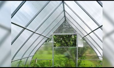 Как выбрать теплицу на дачу, как содержать полость рта в здоровом состоянии и какие продукты самые полезные для нашего здоровья?