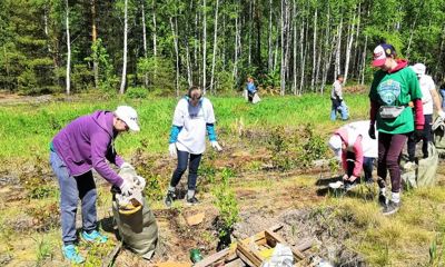 Благодаря жителям региона специалистам смогли пресечь нарушения законодательства охраны окружающей среды