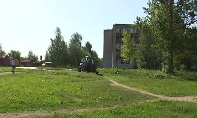 Ярославские коммунальщики продолжают бороться с разрастанием борщевика