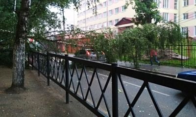 Гроза повалила несколько деревьев в Ярославле