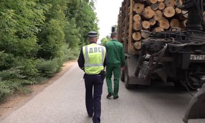 Лесной надзор и ГИБДД контролируют перевозку древесины