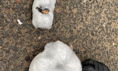 В Ярославской области поймали наркодилера из Узбекистана