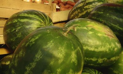 Сезон арбузов: как выбрать спелую и вкусную ягоду