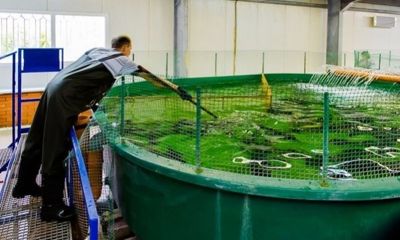 Росрыболовство поддержит объекты аквакультуры по примеру Ярославской области