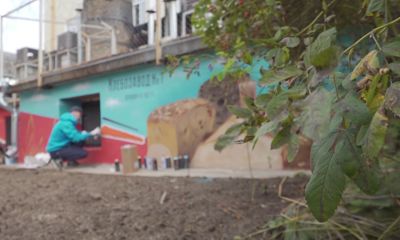 Ярославские художники граффити завершили создание панно