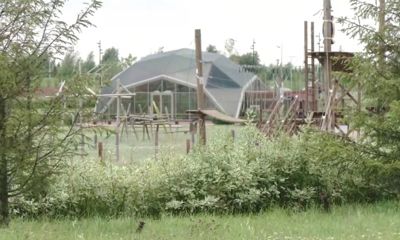 Утреннее шоу «Овсянка» от 21.09.20: учимся делать живую изгородь и узнаем о зерновых продуктах