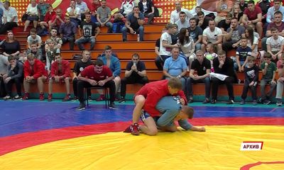 Ярославские самбисты успешно выступили на всероссийском турнире