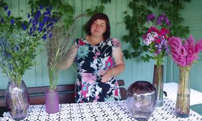 Утреннее шоу «Овсянка» от 02.10.20: делаем интерьерные букеты и узнаем новые настольные игры