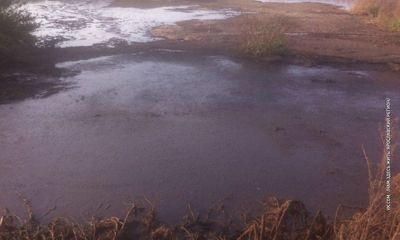 Под селом Медягино люди обнаружили целое поле отходов с фермы