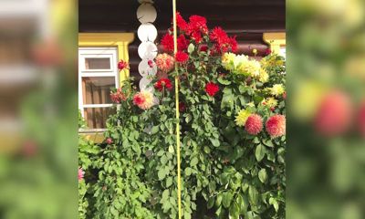 Ярославль вновь попал в книгу рекордов России