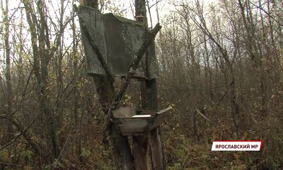 В Ярославской области ловят браконьеров